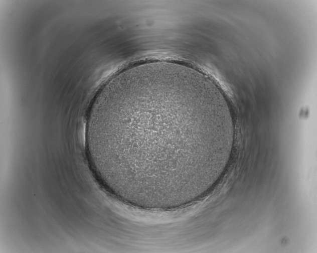 X0000099500014200805221410