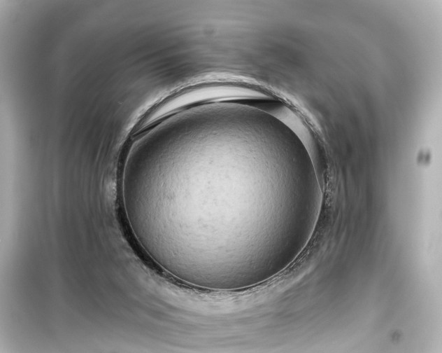 X0000099500015200805221410