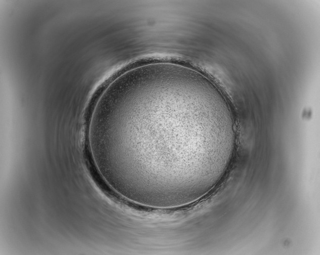 X0000099500016200805221410