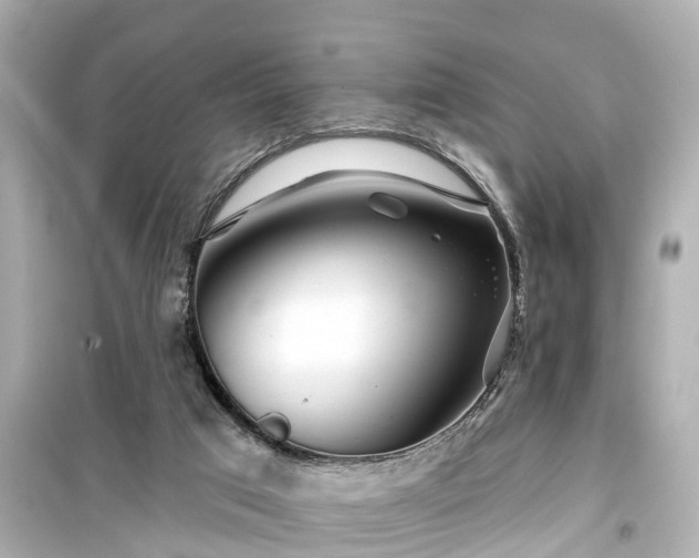 X0000099500017200805221410