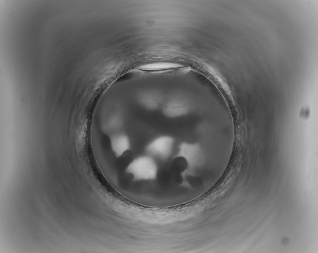 X0000099500018200805221410