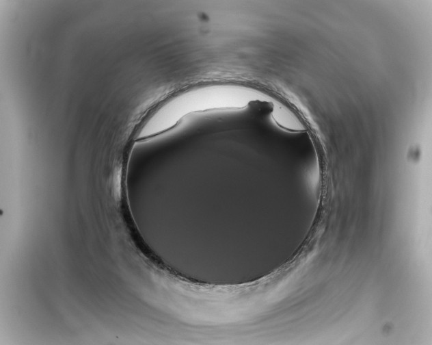 X0000099500019200805221410