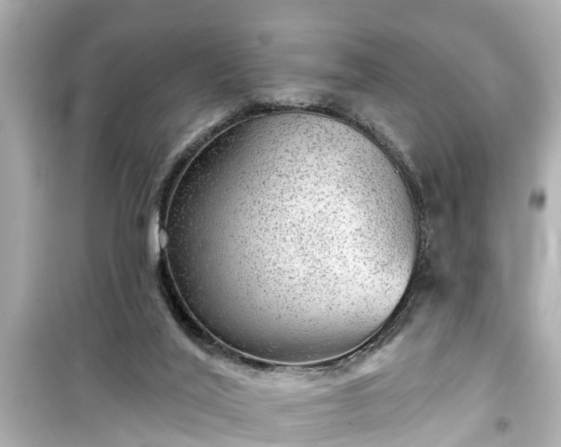 X0000099500020200805221410