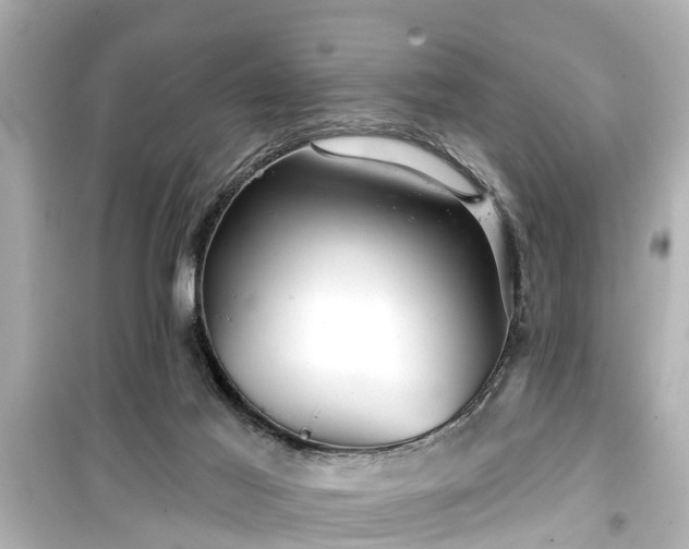 X0000099500021200805221410