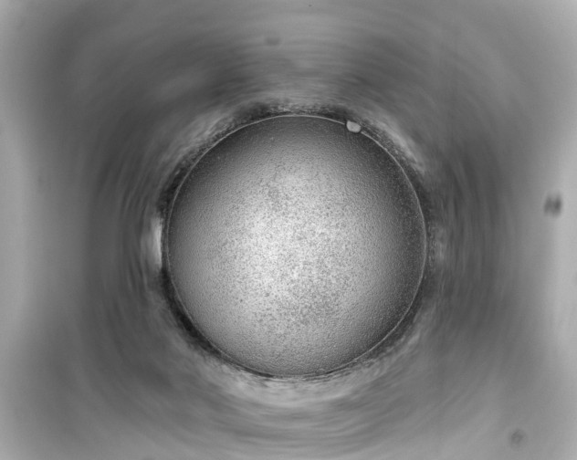 X0000099500022200805221410