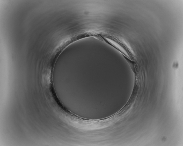 X0000099500023200805221410
