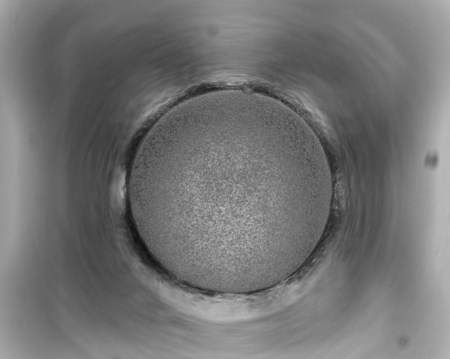 X0000099500024200805221410