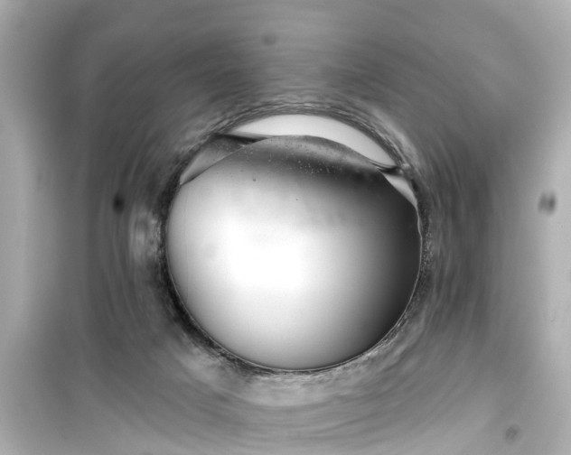 X0000099500025200805221410