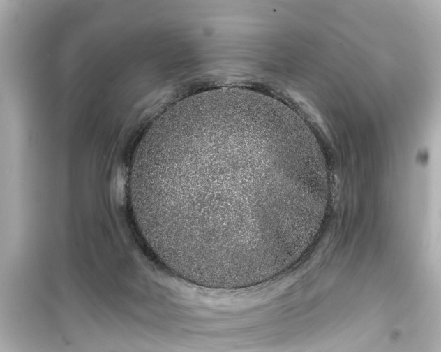 X0000099500026200805221410