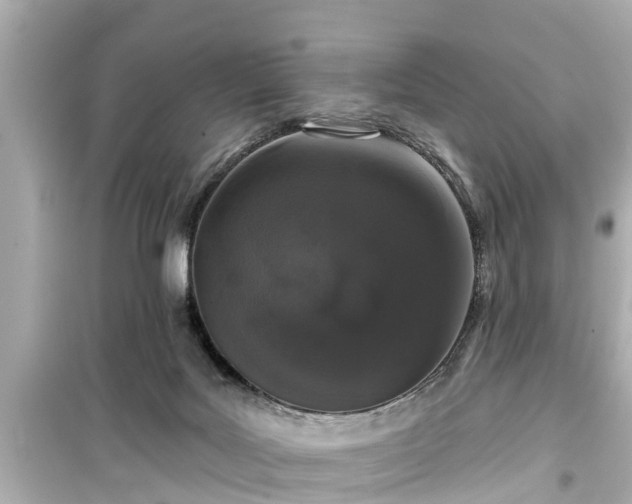 X0000099500027200805221410
