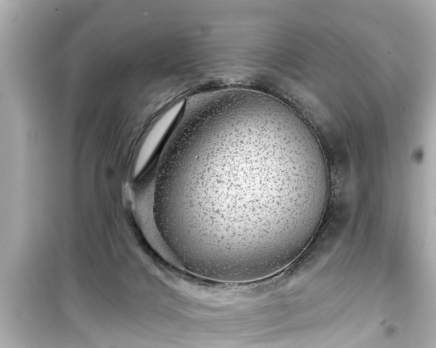X0000099500028200805221410