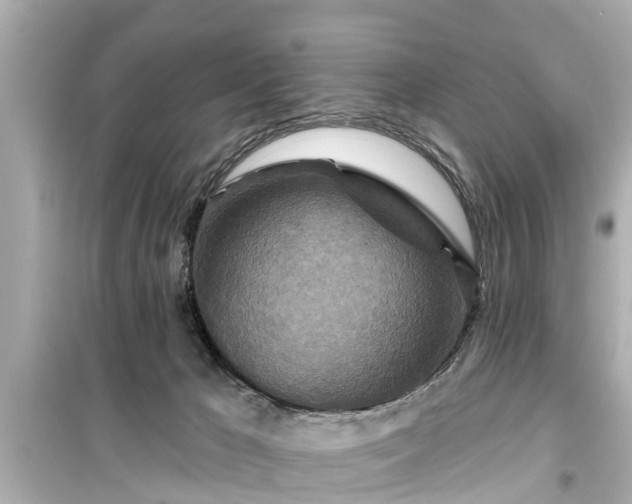 X0000099500029200805221410