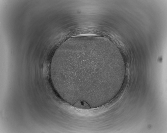 X0000099500030200805221410