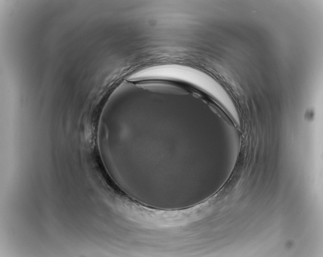 X0000099500031200805221410