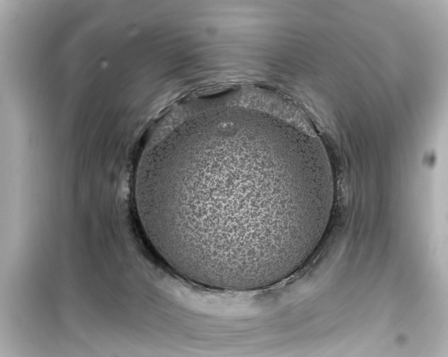 X0000099500032200805221410
