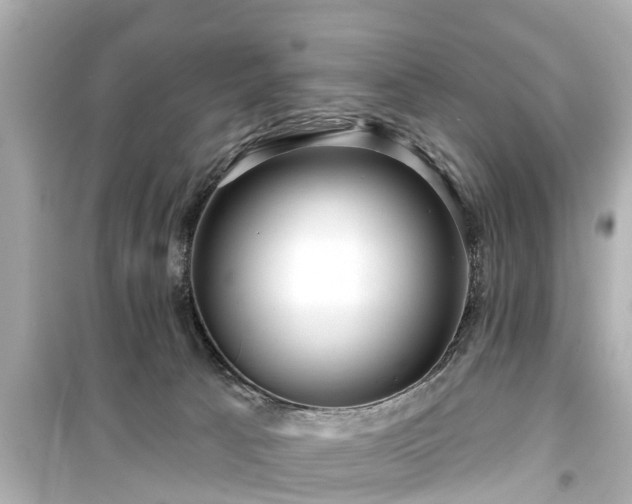 X0000099500033200805221410