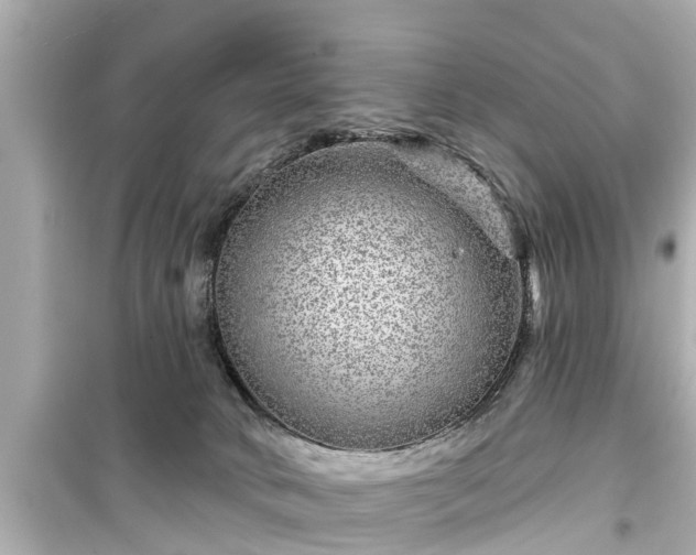 X0000099500034200805221410