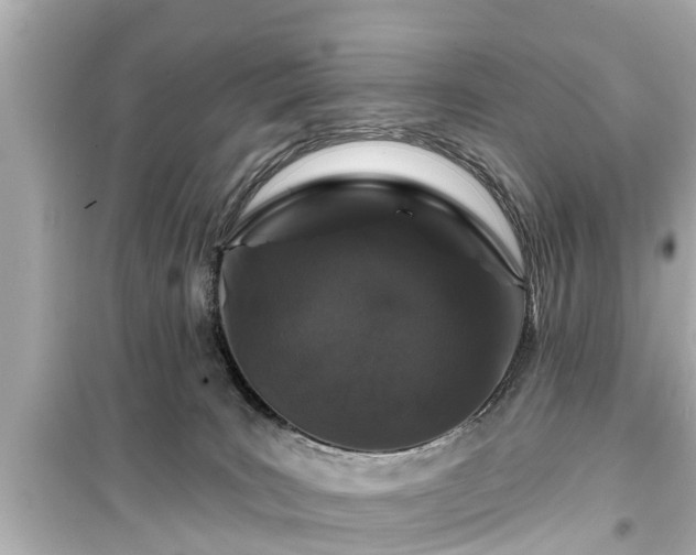 X0000099500035200805221410