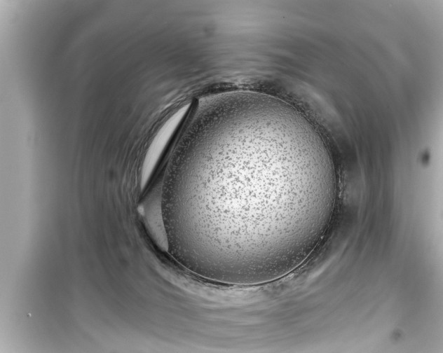 X0000099500036200805221410