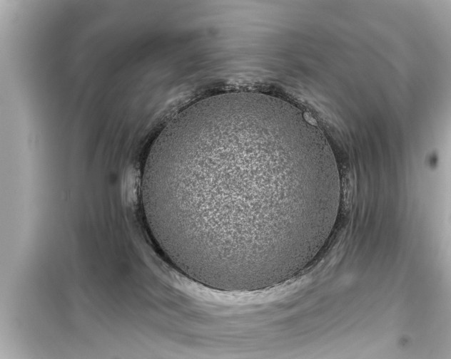 X0000099500038200805221410