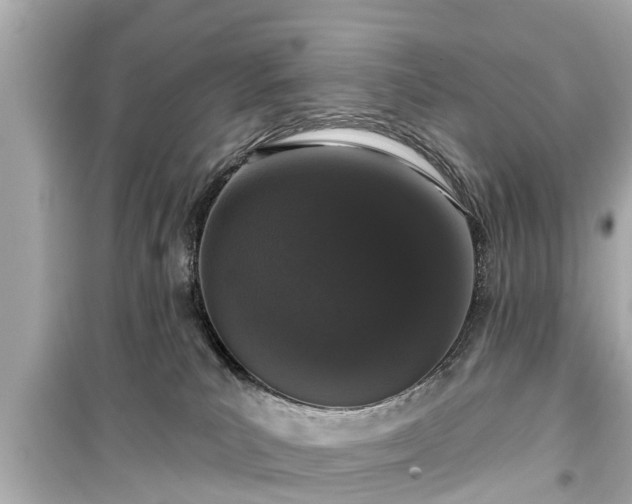 X0000099500039200805221410