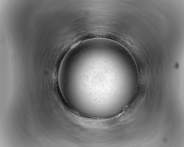 X0000099500040200805221410