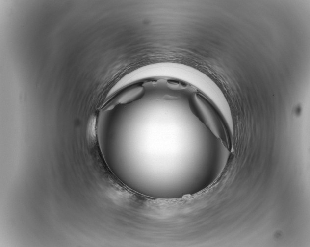 X0000099500041200805221410