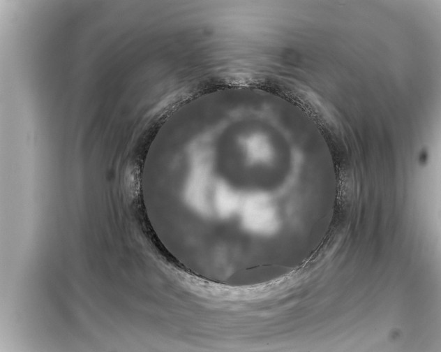 X0000099500043200805221410