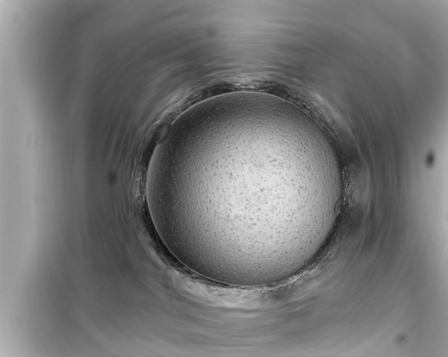 X0000099500044200805221410