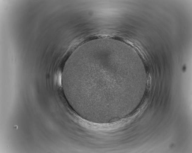 X0000099500046200805221410