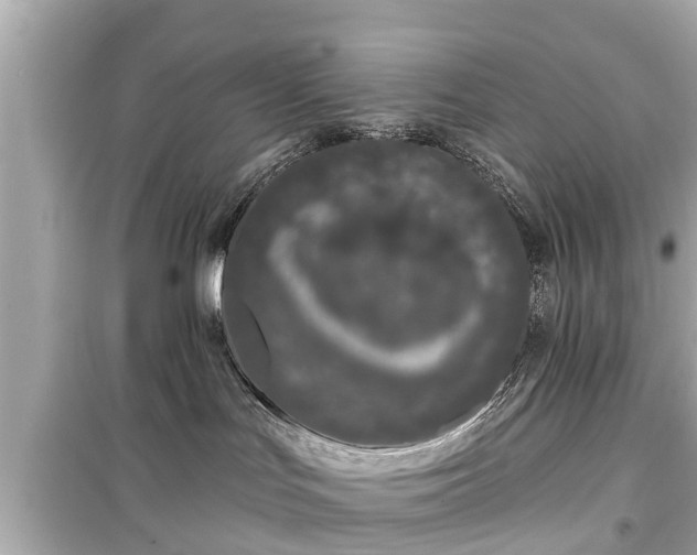 X0000099500047200805221410