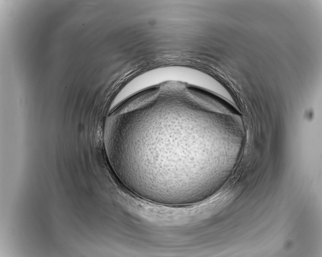 X0000099500048200805221410