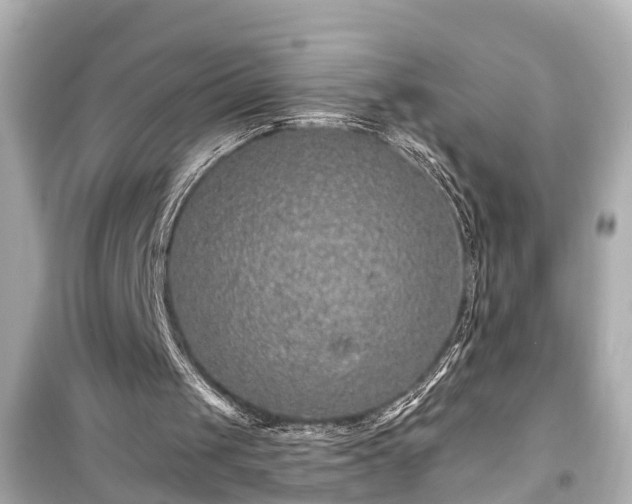 X0000099500049200805221409