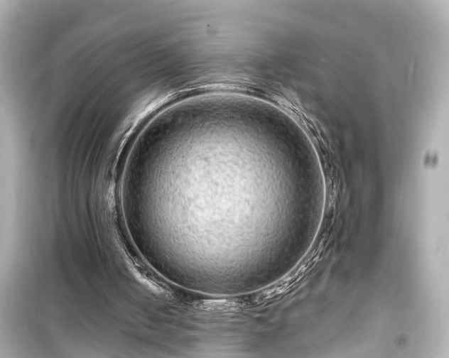 X0000099500050200805221409