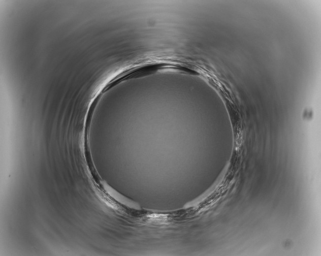 X0000099500052200805221409