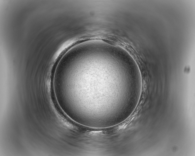 X0000099500054200805221409