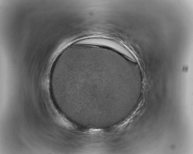 X0000099500055200805221409