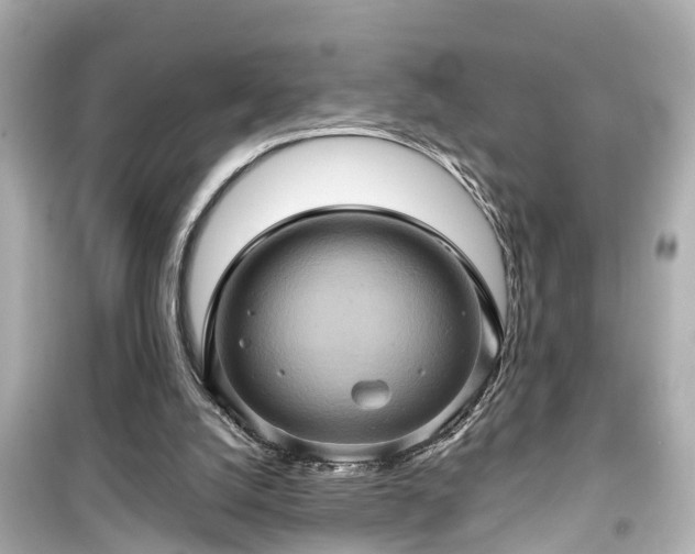 X0000099500056200805221409