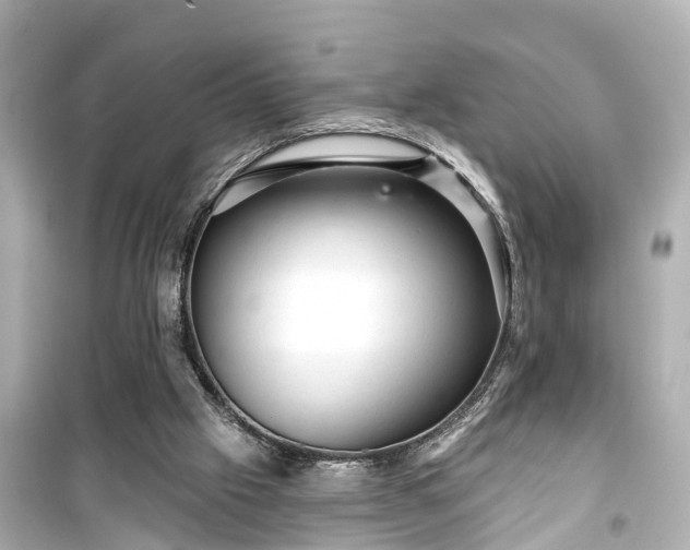 X0000099500057200805221409