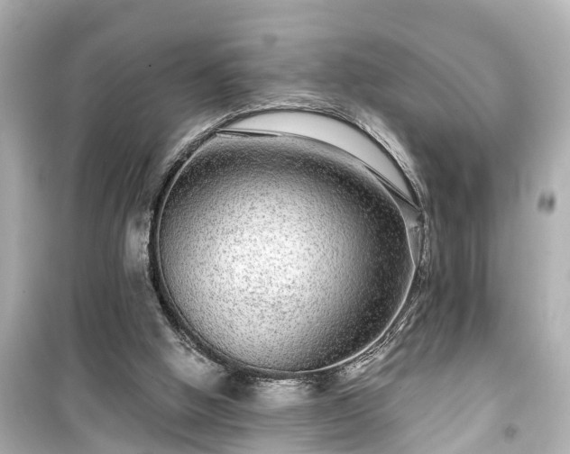 X0000099500058200805221409