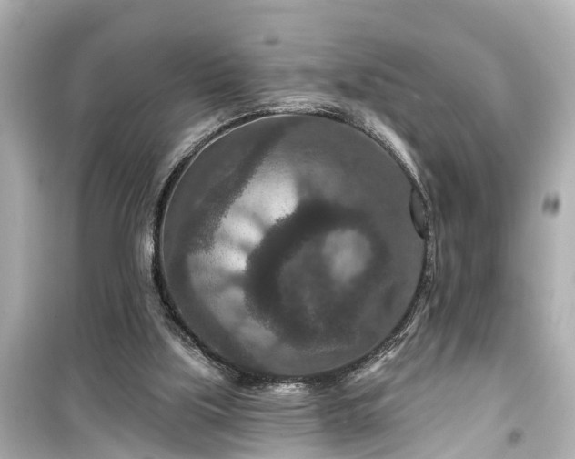 X0000099500059200805221409