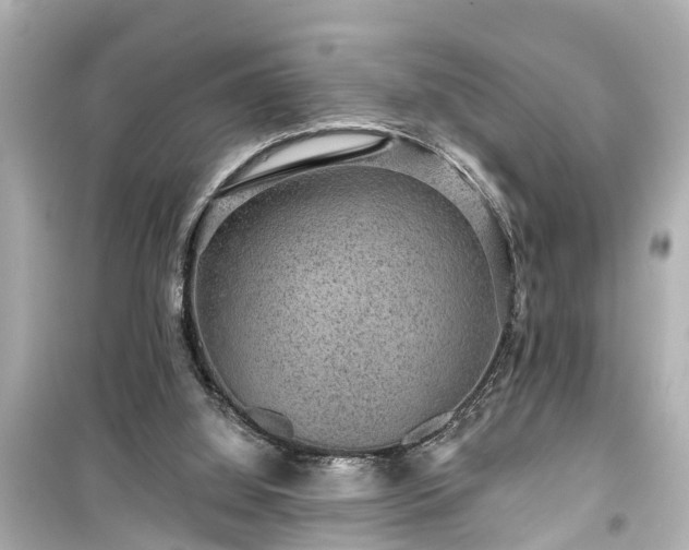 X0000099500060200805221409