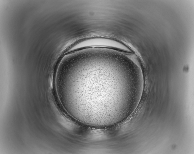 X0000099500062200805221409