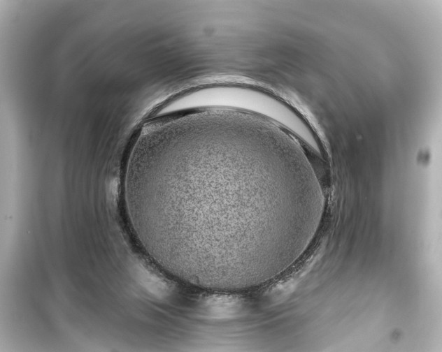 X0000099500063200805221409