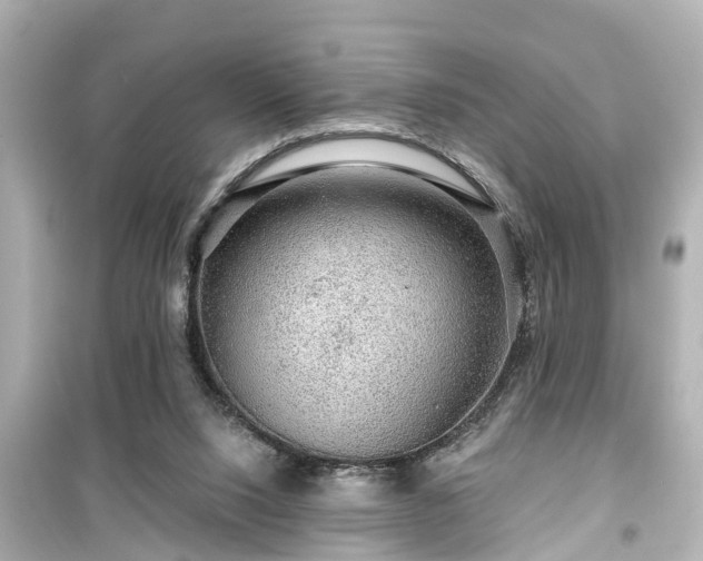 X0000099500064200805221410