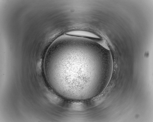 X0000099500066200805221410