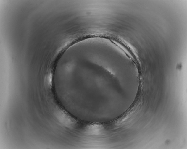 X0000099500067200805221410