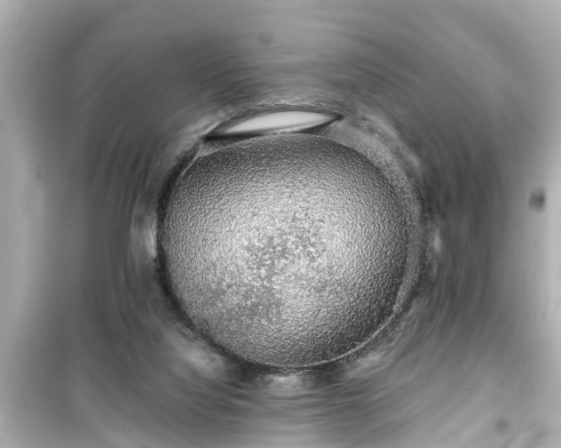 X0000099500068200805221410
