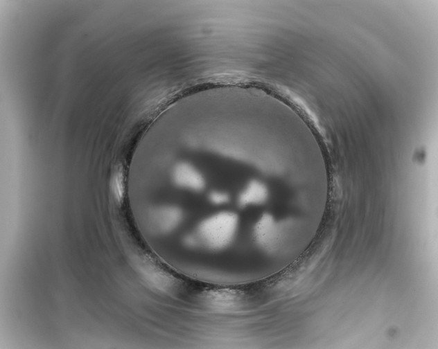 X0000099500069200805221410