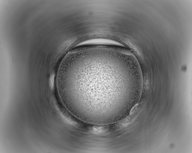 X0000099500070200805221410